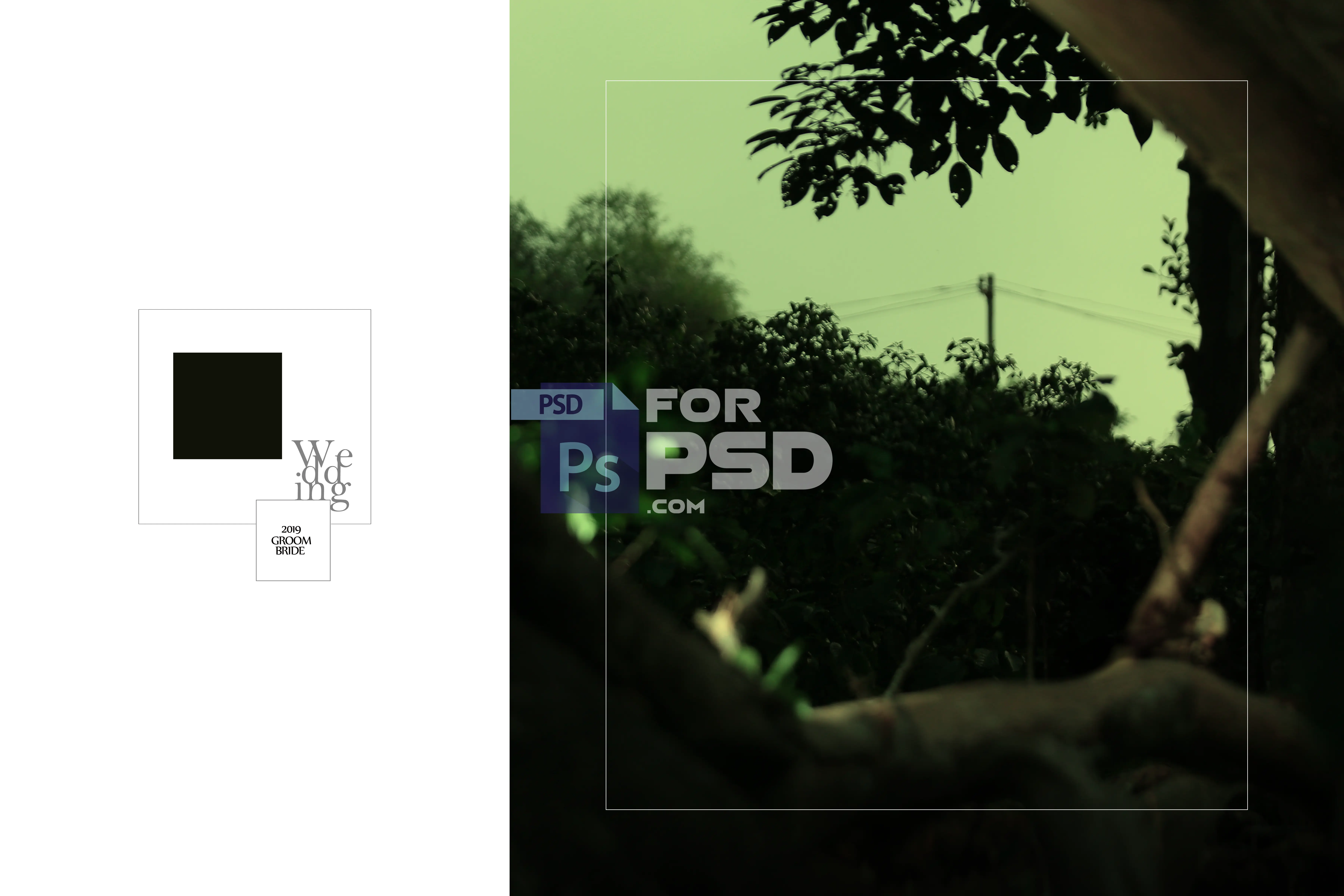 Image Preview
